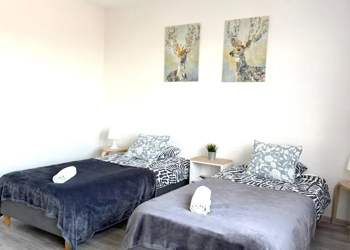 Apartament 03 Centrum - Mieszkanie Dla 2 Os *